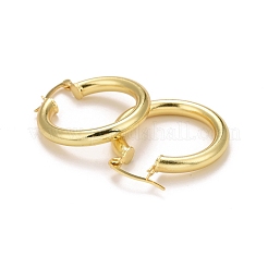 Rack Plating Brass Hoop Earrings&nbsp;EJEW-F278-09G