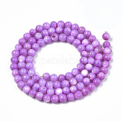 Natural Freshwater Shell Beads Strands&nbsp;SHEL-N003-24-B04