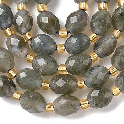 Natural Labradorite Beads Strands&nbsp;G-F809-A40-01