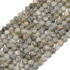 Natural Labradorite Beads Strands&nbsp;G-P611-C26-01