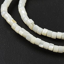 天然淡水シェルビーズ連売り  ディスク  ヒシビーズ  ホワイトスモーク  3~3.5x1.5~2mm  穴：0.6mm  約188個/連  15.47''（39.3センチメートル）&nbsp;BSHE-G039-03