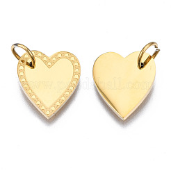 316 Surgical Stainless Steel Charms&nbsp;STAS-N097-021