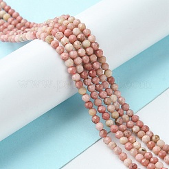 Natural Rhodonite Beads Strands&nbsp;G-F748-U01-02
