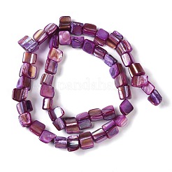 Dyed Natural Freshwater Shell Beads Strands&nbsp;SHEL-P016-01D