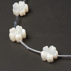 パールシェルビーズの天然な白いシェルマザーオブパール  桃の花  乳白色  13x13x5mm  穴：0.7mm  約10個/連  12.60''（32センチメートル）&nbsp;BSHE-B005-09