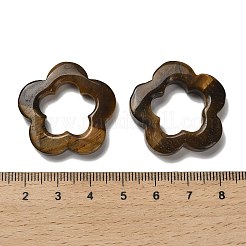 Natural Tiger Eye Cabochons&nbsp;G-Q190-05E