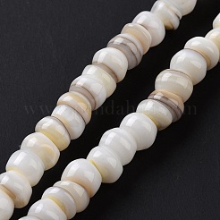 Natural Cultured Freshwater Shell Beads Strands&nbsp;SHEL-F002-01D