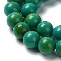 Natural Howlite Beads Strands&nbsp;G-E604-B05-B