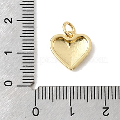 Brass Pendants&nbsp;KK-H267-026B-G