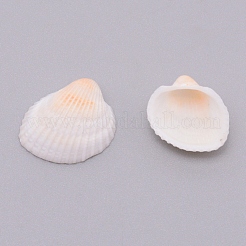 Natural Conch Shell Beads&nbsp;SSHEL-WH0001-30