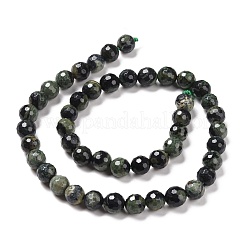 Natural Kambaba Jasper Beads Strands&nbsp;G-E571-04B
