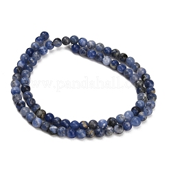Natural South Africa Sodalite Beads Strands&nbsp;G-S259-35-4mm