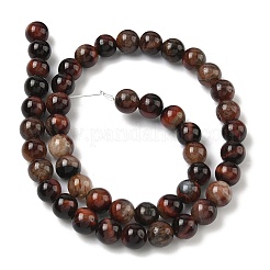Natural Tiger Eye Beads Strands&nbsp;G-F591-18-8mm-07