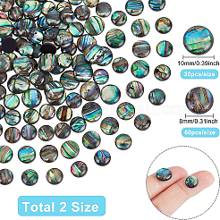 Paua Shell Cabochons&nbsp;SHEL-BC0001-018