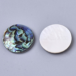 天然アワビシェル/パウアシェルカボション  淡水シェル  フラットラウンド  カラフル  16x3mm&nbsp;X-SSHEL-N034-45