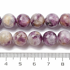 Natural Lepidolite/Purple Mica Stone Beads Strands&nbsp;G-G160-A01-02