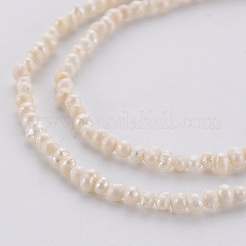 天然養殖淡水パールビーズ連売り  貝殻色  1.5~2x1.5~3x1.5~2mm  穴：0.5mm  約142個/連  13.78インチ（35cm）&nbsp;PEAR-S016-001