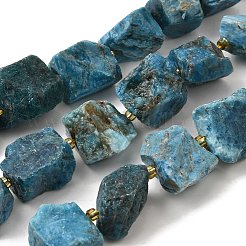 生の粗い天然アパタイトビーズ連売り  ナゲット  シードビーズで  14~28x15~25x10~27mm  穴：1.2~1.4mm  約9~10個/連  7.76''~8.07''（19.7~20.5センチメートル）&nbsp;G-Z087-B12