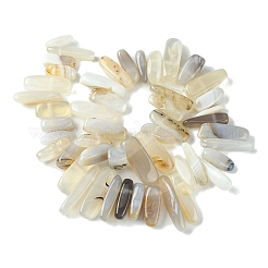 Natural Grey Agate Beads Strands&nbsp;G-G117-C06-01