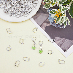 88Pcs 11 Style 316 Surgical Stainless Steel Leverback Earring Findings&nbsp;STAS-HY0001-01