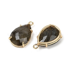 Natural Labradorite Faceted Pendants&nbsp;G-K347-05G-02
