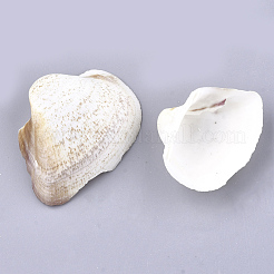 Natural Trochid Shell/Trochus Shell Beads&nbsp;SSHEL-S258-44