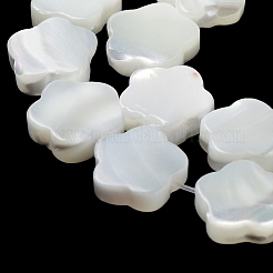 天然ニシキウズガイシェルビーズ連売り  花  雪  9.5x10x3mm  穴：0.6mm  約42~43個/連  15.75''（40センチメートル）&nbsp;X-BSHE-P033-07