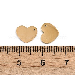 304 Stainless Steel Charms&nbsp;STAS-G357-17G