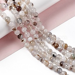 Natural Dendritic Agate Beads Strands&nbsp;G-C011-01B