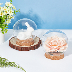 Round Glass Dome Cover&nbsp;DJEW-WH0043-33
