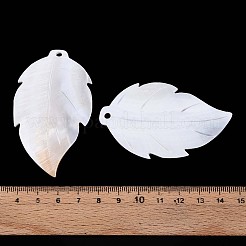 天然淡水貝の彫刻が施された大きなペンダント  葉のチャーム  貝殻色  67x39~40x3~4mm  穴：3mm&nbsp;SHEL-T020-50