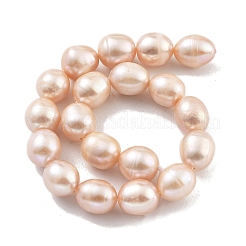 Natural Cultured Freshwater Pearl Beads Strands&nbsp;PEAR-P062-13D