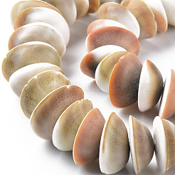 天然石シェルビーズ連売り  半円  バリーウッド  19~25x7~11mm  穴：1mm  約20~24個/連  6.89インチ〜7.09インチ（17.5~18cm）&nbsp;SSHEL-N034-101