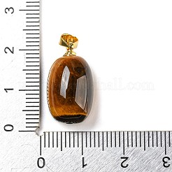 天然石タイガーアイペンダント  金メッキ合金スナップオンベイル付きバレルチャーム  19.5x11mm  穴：4x4.3mm&nbsp;LS-G-D094-05A-G