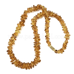 Natural Amber Chip Beaded Necklaces&nbsp;NJEW-L466-03B