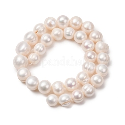 天然養殖淡水パールビーズ連売り  ポテト  古いレース  12~15mm  穴：0.6mm  約32個/連  13.78''（35センチメートル）&nbsp;PA-CBABE82-12B