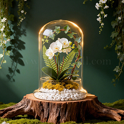 Arch Glass Dome Cover&nbsp;AJEW-WH0481-569A