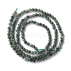 Natural Seraphinite Beads Strands&nbsp;G-A021-07B