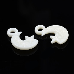 不透明なアクリルビーズ  スターとムーン  ミックスカラー  20x13x4mm  穴：3mm  約1400個/500g&nbsp;MACR-S272-49