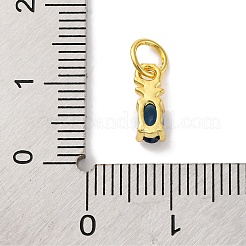 Rack Plating Brass Micro Pave Cubic Zirconia Charms&nbsp;KK-F881-03G-07