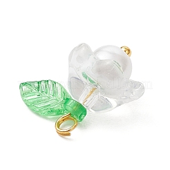 ガラスチャーム  花  アクリルとプラスチックの模造真珠ビーズと金色の真鍮ループ付き  透明  15.5x15x11mm  穴：1.2mm&nbsp;PALLOY-MZ00837-04