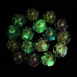 蓄光樹脂エナメルビーズ  花  グリッターパウダー付き  暗闇で光る  ミックスカラー  20.5x20x9.5mm  穴：2mm&nbsp;RE-CBAC4C7-14