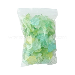 60G Transparent Acrylic Beads&nbsp;OACR-FS0001-90C