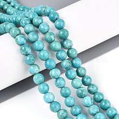 Dyed Synthetic Fossil Beads Strands&nbsp;G-T139-6mm-66F