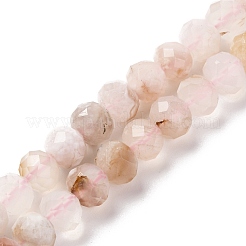 Natural Cherry Blossom Agate Beads Strands&nbsp;G-K380-A43-01