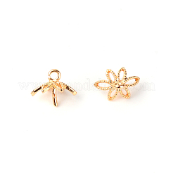 6-Petal Brass Bead Caps&nbsp;KK-WH0042-11