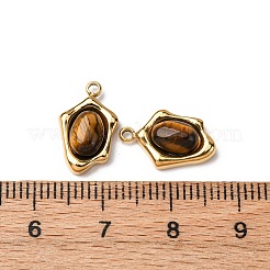 Natural Tiger Eye Irregular Oval Charms&nbsp;STAS-L022-525G-02