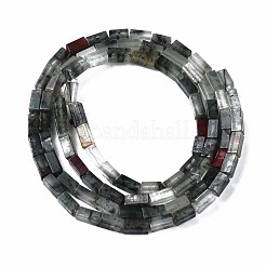 Natural African Bloodstone  Beads Strands&nbsp;G-S299-134