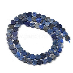 Natural Lapis Lazuli Beads Strands&nbsp;G-M403-A43-02