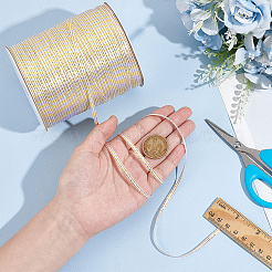 Polyester Ribbons&nbsp;SRIB-WH0011-219A-01